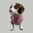 Load image into Gallery viewer, FLEECE SHIRT Dackel Altrosa