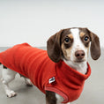 Load image into Gallery viewer, FLEECE SHIRT Dackel Terracotta