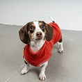 Load image into Gallery viewer, FLEECE SHIRT Dackel Terracotta