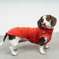 Load image into Gallery viewer, FLEECE SHIRT Dackel Terracotta