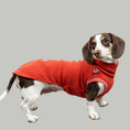 Load image into Gallery viewer, FLEECE SHIRT Dackel Terracotta