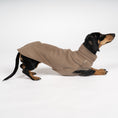 Load image into Gallery viewer, Fleece Shirt Dackel Walnut – Hundepullover und Hundekleidung für Dackel und Windhunde – Seitenansicht am Hund