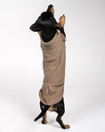 Load image into Gallery viewer, FLEECE SHIRT Dackel Walnut