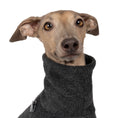 Load image into Gallery viewer, Fleece Shirt Iggy Anthrazit – Close-up am Hund – hochwertige Hundekleidung von Karma Hund