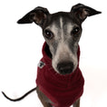 Load image into Gallery viewer, Fleece Shirt Iggy Bordeaux – Close-up am Hund – hochwertige Hundekleidung von Karma Hund