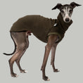 Load image into Gallery viewer, Fleece Shirt Iggy Dark Olive – hochwertige Hundekleidung für Dackel, Windspiele und Windhunde von Karma Hund Berlin – Ganzkörperansicht am Hund