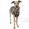 Load image into Gallery viewer, Fleece Shirt Iggy Leo – Ganzkörperansicht – stilvolle Hundekleidung für Dackel und Italienische Windspiele