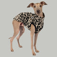 Load image into Gallery viewer, Fleece Shirt Iggy Leo – hochwertige Hundekleidung für Dackel, Windspiele und Windhunde von Karma Hund Berlin – Ganzkörperansicht am Hund