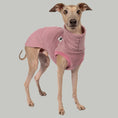 Load image into Gallery viewer, Fleece Shirt Iggy Mulberry – hochwertige Hundekleidung für Dackel, Windspiele und Windhunde von Karma Hund Berlin – Ganzkörperansicht am Hund