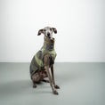 Load image into Gallery viewer, FLEECE SHIRT Iggy Camouflage