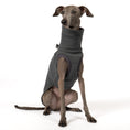 Load image into Gallery viewer, Fleece Shirt Iggy Graphite – ergonomischer Schnitt für Dackel und Windspiele – handgefertigte Hundekleidung