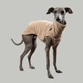 Load image into Gallery viewer, FLEECE SHIRT Iggy Sand Beige