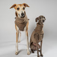 Load image into Gallery viewer, FLEECE SHIRT Iggy Walnut