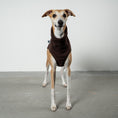 Load image into Gallery viewer, Fleece Shirt Windhund Espresso – Close-up am Hund – hochwertige Hundekleidung von Karma Hund