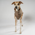 Load image into Gallery viewer, Fleece Shirt Windhund Walnut – Close-up am Hund – hochwertige Hundekleidung von Karma Hund