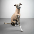 Load image into Gallery viewer, FLEECE SHIRT Windhund Sand Beige