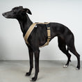Load image into Gallery viewer, SOFTSHELL DOGHARNESS Sighthound Sand