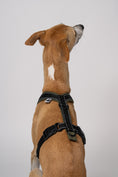 Load image into Gallery viewer, Hundegeschirr speziell für Windhunde – Nahaufnahme der Reflektorstreifen und Softshellstruktur