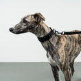 Load image into Gallery viewer, Softshell Halsband Schwarz