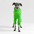 Load image into Gallery viewer, Italian Greyhound Fleece Overall Green