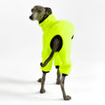 Load image into Gallery viewer, Italian Greyhound Overall Neon Yellow
