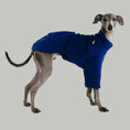 Load image into Gallery viewer, Hundepullover für Windspiele in Navy