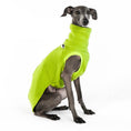 Load image into Gallery viewer, Windspiel Shirt Fleece Light Green