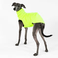 Load image into Gallery viewer, Windspiel Longshirt Neon Yellow