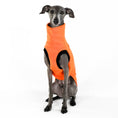 Load image into Gallery viewer, IG Longshirt Fleece Pumpkin