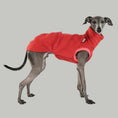 Load image into Gallery viewer, IG Long Shirt Terracotta Fleece