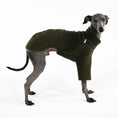 Load image into Gallery viewer, Windspiel Pullover Fleece Dark Olive