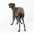 Load image into Gallery viewer, Italian Greyhound Walnut Pullover
