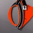 Load image into Gallery viewer, Italienisches Windspiel Brustgeschirr Neon Orange