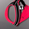 Load image into Gallery viewer, Windspiel Geschirr Reflektierend Neon Pink