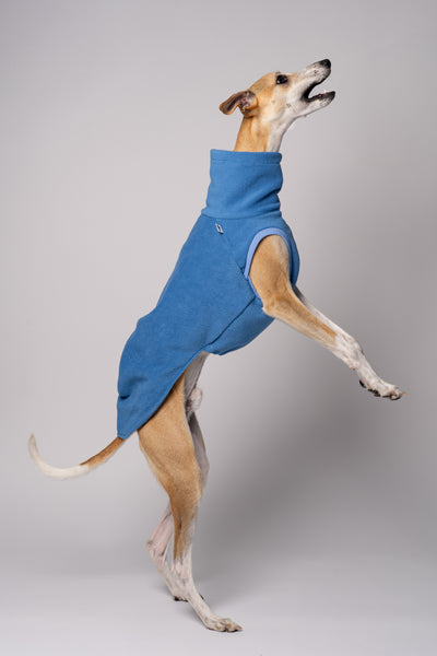 Whippet Saluki Galgo Shirt in Bewegung bequeme Kleidung für Windhunde