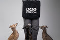 Load image into Gallery viewer, Drei Italienische Windspiele posieren neben dem „Dog Person“-Beutel