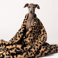 Load image into Gallery viewer, Karma Hund Schlafsack für kleine und mittelgroße Hunde zum Einkuscheln