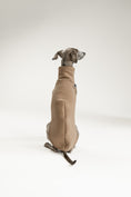 Load image into Gallery viewer, Long Shirt für Windhunde in Mokka, gefertigt aus Baumwollfleece mit elastischem Bauchbund für bequeme Passform.