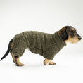 Load image into Gallery viewer, Dackel trägt doppelseitigen Fleece Overall in Größe XL – Handarbeit aus Berlin