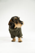 Load image into Gallery viewer, Kuscheliger Teddy-Fleece Overall für Dackel, getestet an vielen Hunden