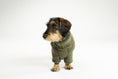 Load image into Gallery viewer, Dunkeloliver Teddy-Overall für Dackel – rundum warm und bequem