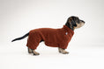 Load image into Gallery viewer, Rundum-Schutz: Dackel-Overall in Braun, gefertigt aus kuscheligem Teddy