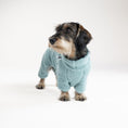 Load image into Gallery viewer, Handgemachter Hundemantel für Dackel – Farbe Mint