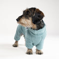 Load image into Gallery viewer, Dackel im mintgrünen Teddy Overall auf Spaziergang