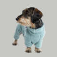 Load image into Gallery viewer, Dackel im mintgrünen Teddy Overall auf Spaziergang