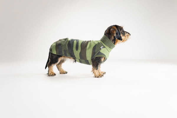 Camouflage Long Shirt aus Fleece an Rauhaar Dackel