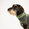 Load image into Gallery viewer, Fleece Shirt Dackel Camouflage – Close-up am Hund – hochwertige Hundekleidung von Karma Hund