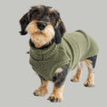 Load image into Gallery viewer, Teddy Shirt Dackel Dark Olive – hochwertige Hundekleidung für Dackel, Windspiele und Windhunde von Karma Hund Berlin – Hund frontal