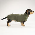 Load image into Gallery viewer, Teddy Shirt Dackel Dark Olive – Hundepullover und Hundekleidung für Dackel und Windhunde – Seitenansicht am Hund