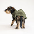 Load image into Gallery viewer, Teddy Shirt Dackel Dark Olive – Hundekleidung für Dackel, Windspiele und Whippets – Rückenansicht